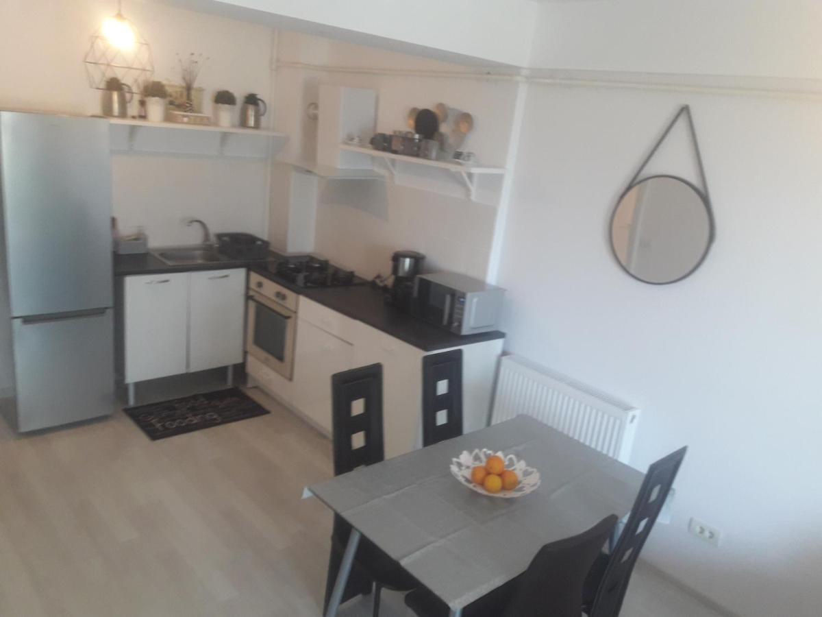 Apartament Amphora Direct Pe Plaja Năvodari Exterior foto